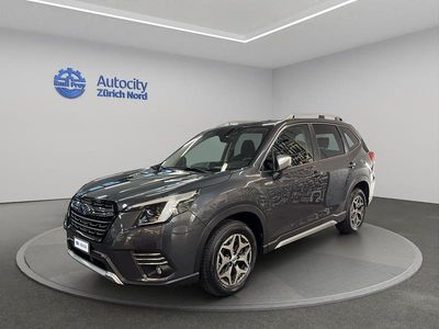 Grau Gebraucht 2024 Subaru Forester SUV | CHF 33’999 (Fairer Preis)