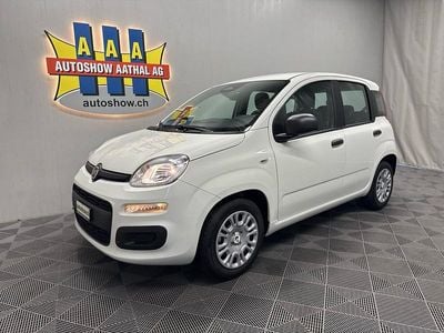 Neu 2025 Fiat Panda City Life | CHF 13’700 (Superpreis)