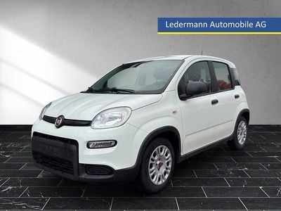 Gebraucht Fiat Panda City Life 70 PS (51 kW) 2023 Kleinwagen
