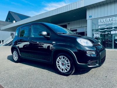 Gebraucht 2024 Fiat Panda Kleinwagen | CHF 15’490