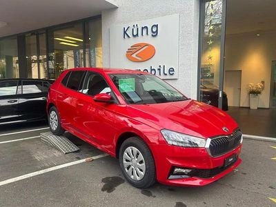 Neu Skoda Fabia Selection 116 PS (85 kW) 2025 Gray Kleinwagen