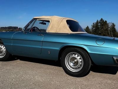 Gebraucht 1981 Alfa Romeo Spider Veloce Cabrio | CHF 19’999