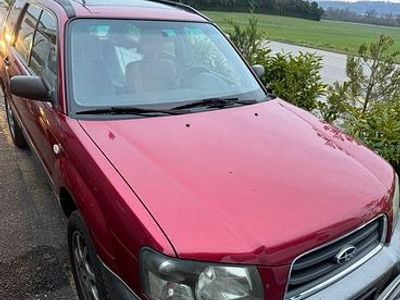 Gebraucht 2002 Subaru Forester Comfort SUV | CHF 3’999 (Fairer Preis)