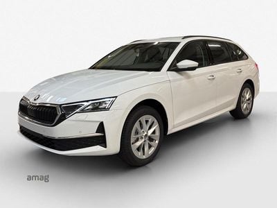 Neu 2025 Skoda Octavia Selection Kombi | CHF 44’490 (Etwas zu teuer)