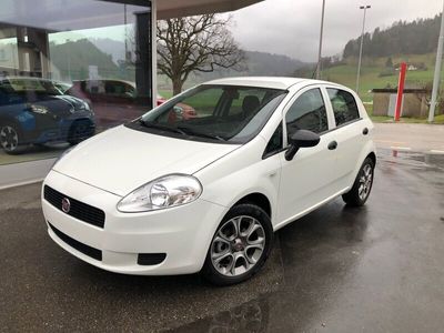 gebraucht Fiat Punto 1.2 Pop