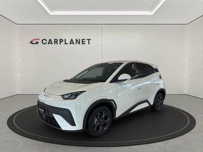 Weiss Neu 2025 BYD Dolphin Surf Comfort Kleinwagen | CHF 29’600