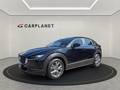 Gebraucht Mazda CX-30 Exclusive-Line 150 PS (110 kW) 2024 SUV