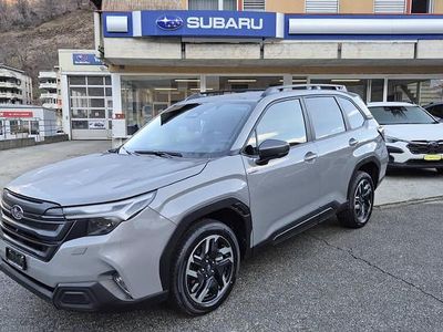 Gebraucht Subaru Forester 136 PS (100 kW) 2025 SUV