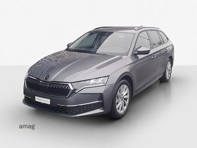 Gebraucht Skoda Octavia Selection 150 PS (110 kW) 2025 Graphite grau, metallic Kombi