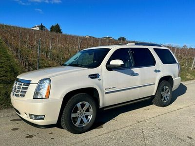 gebraucht Cadillac Escalade 6.2 Platinum Edition