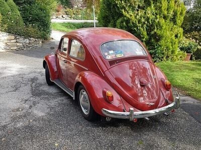 Gebraucht 1961 VW Käfer | CHF 19’500