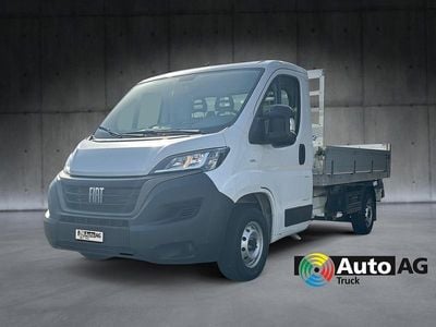 Weiss Gebraucht 2022 Fiat Ducato Van | CHF 38’999 (Superpreis)