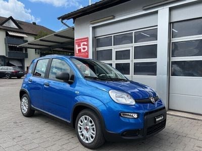 Gebraucht Fiat Panda City Life 70 PS (51 kW) 2024 Kleinwagen