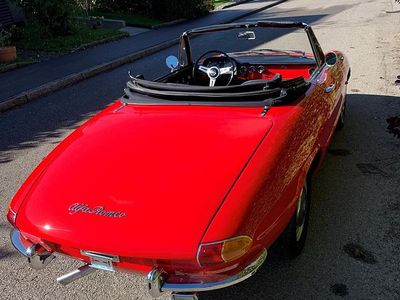 Gebraucht Alfa Romeo Spider 113 PS (83 kW) 1966 Cabrio