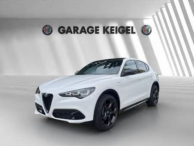 Neu Alfa Romeo Stelvio Veloce 280 PS (205 kW) 2025 Weiss SUV