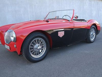 Gebraucht 1954 Austin Healey 100 Cabrio | CHF 76’800