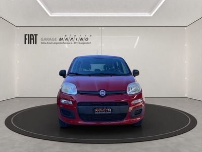 gebraucht Fiat Panda 1.2 69 Pop