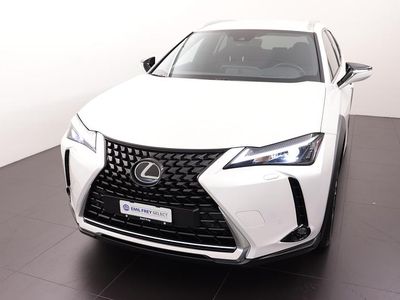 Weiss Gebraucht 2024 Lexus UX 250h SUV | CHF 36’290 (Superpreis)