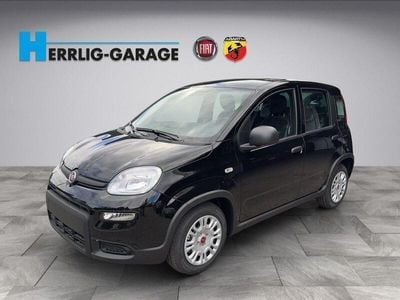 Schwarz Gebraucht 2024 Fiat Panda Kleinwagen | CHF 15’990 (Etwas zu teuer)