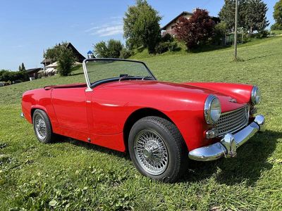 Gebraucht 1962 Austin Healey Sprite | CHF 13’850