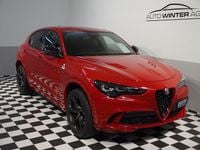 Gebraucht Alfa Romeo Stelvio Quadrifoglio 520 PS (382 kW) 2024 SUV