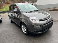 gebraucht Fiat Panda 1.0 MHEV Cult