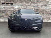 Neu Alfa Romeo Stelvio Quadrifoglio 519 PS (381 kW) 2025 Schwarz SUV