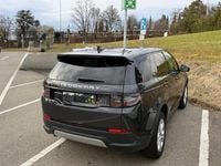 Gebraucht Land Rover Discovery Sport S 308 PS (226 kW) 2021 SUV