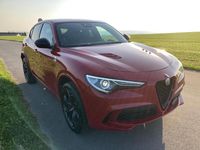 Gebraucht Alfa Romeo Stelvio Quadrifoglio 510 PS (375 kW) 2022 SUV