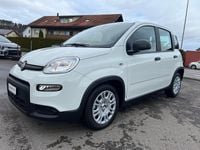 Gebraucht Fiat Panda Cross Cross 70 PS (51 kW) 2024 Kleinwagen