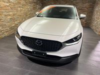 Gebraucht Mazda CX-30 150 PS (110 kW) 2020 Weiss SUV