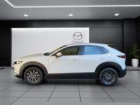 gebraucht Mazda CX-30 SKYACTIV-G 122 M Hybrid Prime Line FWD