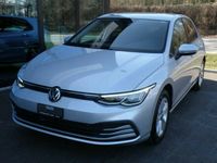 gebraucht VW Golf VIII 1.0 TSI Life DSG