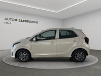 Neu Kia Picanto First Edition 63 PS (46 kW) 2025 Braun Kleinwagen