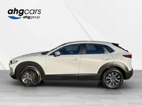 Neu Mazda CX-30 Prime-Line 140 PS (102 kW) 2026 SUV