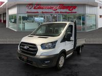Neu Ford Transit Trend 130 PS (95 kW) 2026
