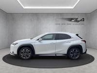 Gebraucht Lexus UX 250h 152 PS (111 kW) 2020 SUV