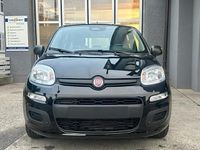 Neu Fiat Panda City Life 70 PS (51 kW) 2025 Kleinwagen