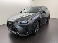 Neu Lexus NX450h+ 292 PS (214 kW) 2026 Grau SUV