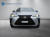 Gebraucht Lexus UX 250h 184 PS (135 kW) 2024 Grau SUV