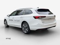 Gebraucht Skoda Superb Selection 150 PS (110 kW) 2024 Purity weiss, uni Kombi