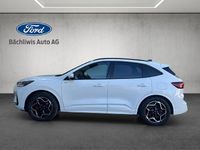Gebraucht Ford Kuga ST-Line X 179 PS (131 kW) 2024 Weiss SUV