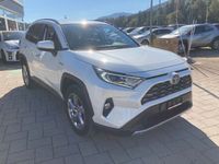 Gebraucht Toyota RAV4 Hybrid Premium 218 PS (160 kW) 2019 SUV