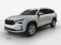 Neu Skoda Kodiaq Dynamic 204 PS (150 kW) 2026 Moon weiss, metallic SUV