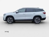 Neu Skoda Kodiaq Dynamic 193 PS (141 kW) 2026 Moon weiss, metallic SUV
