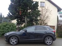 Gebraucht Mazda CX-30 180 PS (132 kW) 2019 SUV