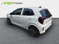 Neu Kia Picanto First Edition 68 PS (50 kW) 2026 Weiss Kleinwagen