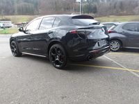Gebraucht Alfa Romeo Stelvio Veloce 280 PS (205 kW) 2024 SUV