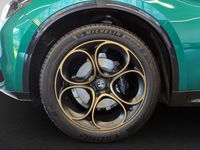 Neu Alfa Romeo Stelvio 280 PS (205 kW) 2025 SUV