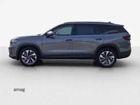 Neu Skoda Kodiaq Dynamic 204 PS (150 kW) 2026 Graphite grau, metallic SUV